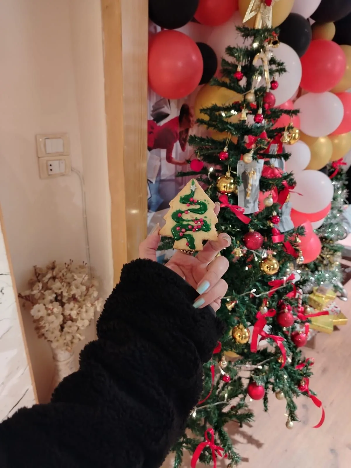 2024  الكريسماس في هارفست