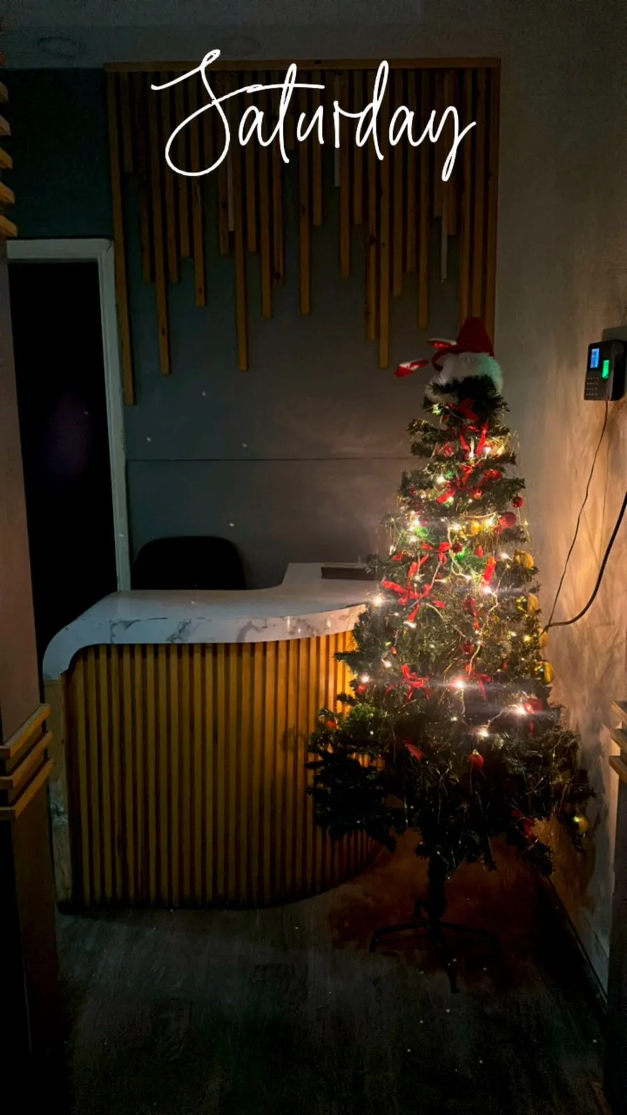 2024  الكريسماس في هارفست