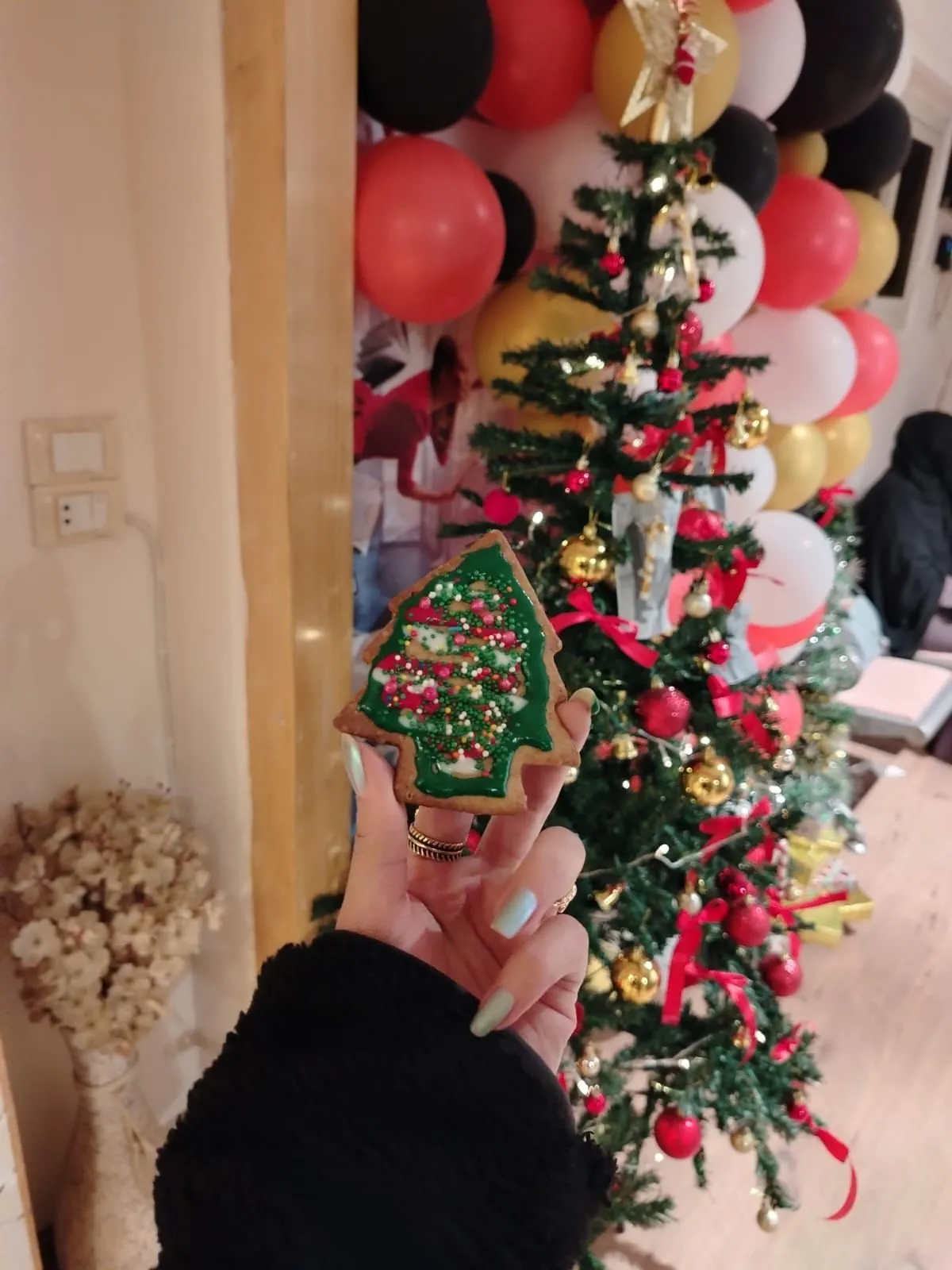 2024  الكريسماس في هارفست