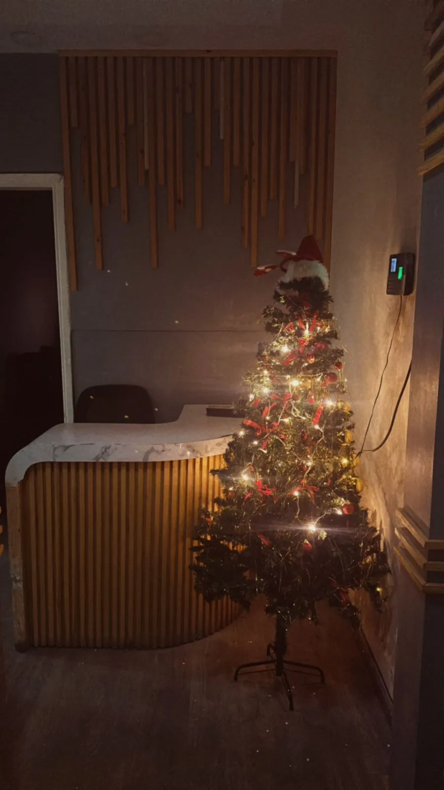 2024  الكريسماس في هارفست